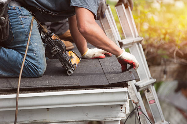 Best Residential Roofing Contractor  in Meadow Woods, FL